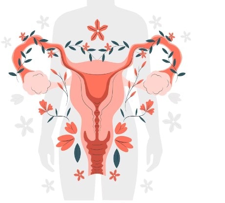 Vagina Hygiene Products